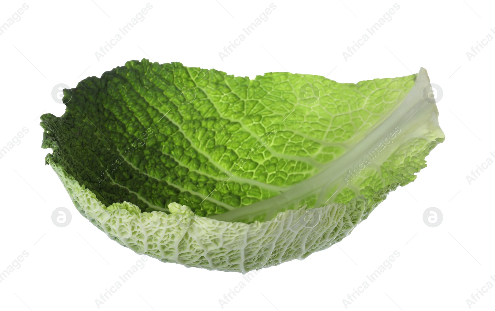 Photo of Green leaf of savoy cabbage isolated on white