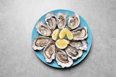 Photo of Fresh oysters with lemon on grey table, top view