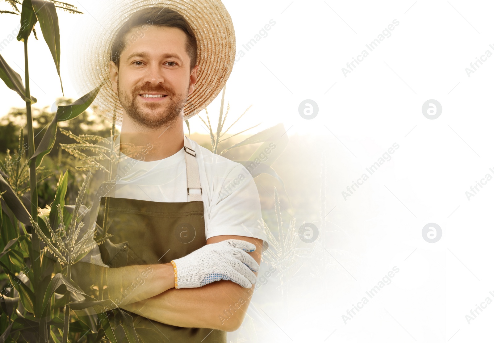 Image of Double exposure of farmer and agricultural field on white background