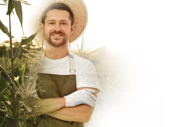 Double exposure of farmer and agricultural field on white background