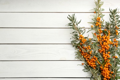 Photo of Branches of sea buckthorn on white wooden table, flat lay. Space for text