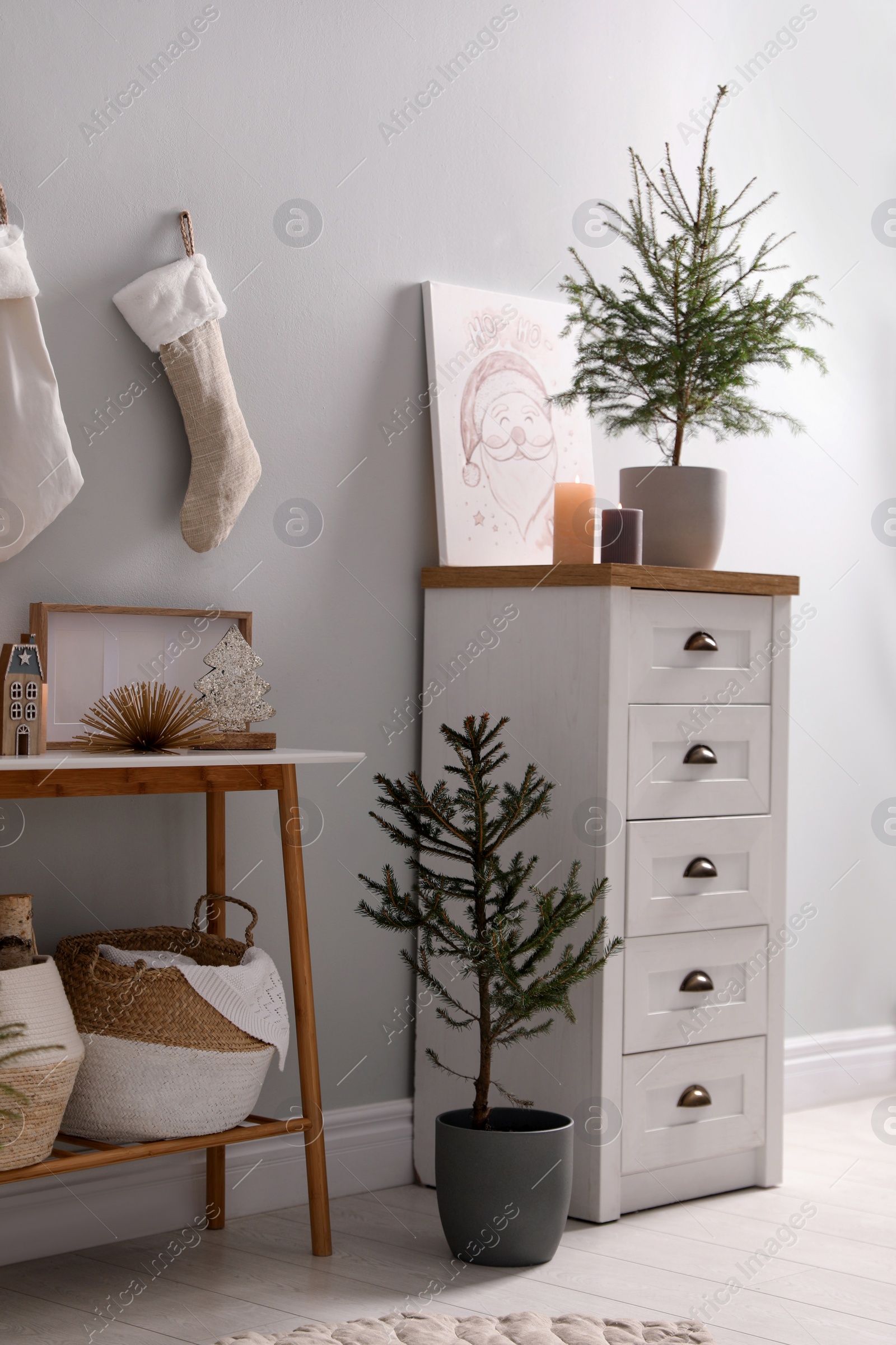 Photo of Beautiful room with potted fir trees. Interior design