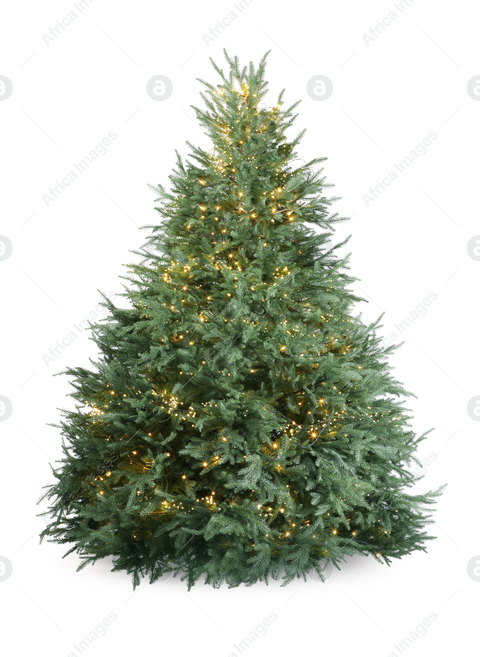 Photo of Beautiful Christmas tree with festive lights isolated on white