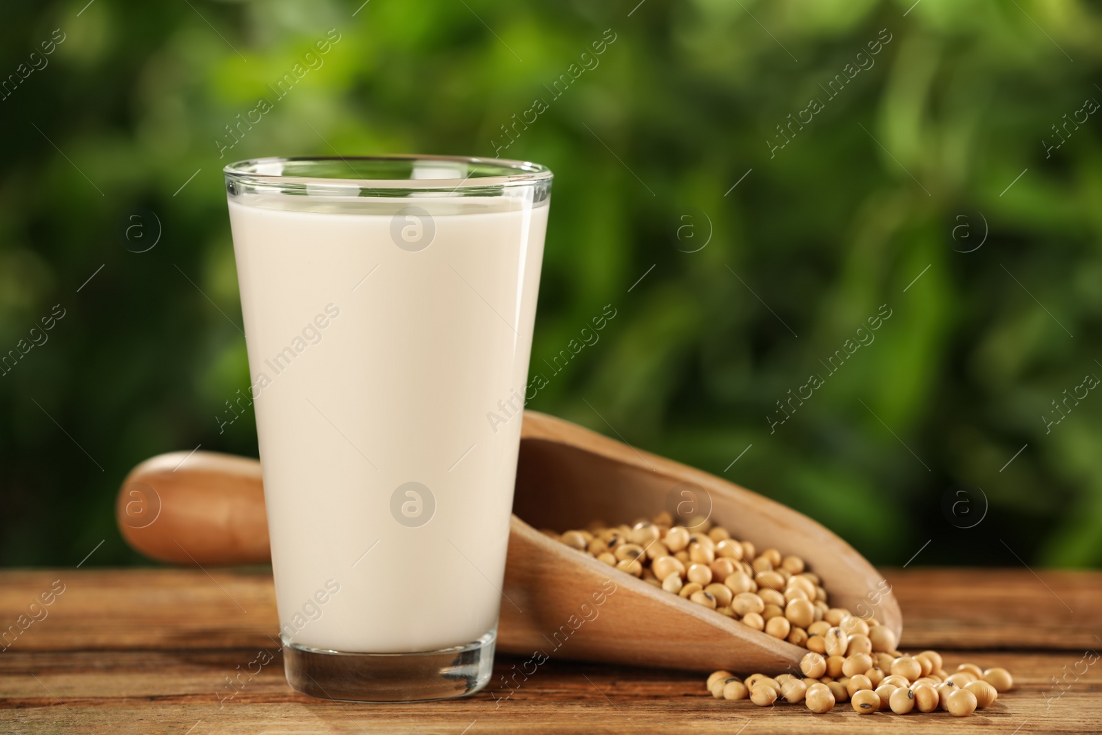 Photo of Glass with fresh soy milk and grains on white wooden table against blurred background. Space for text