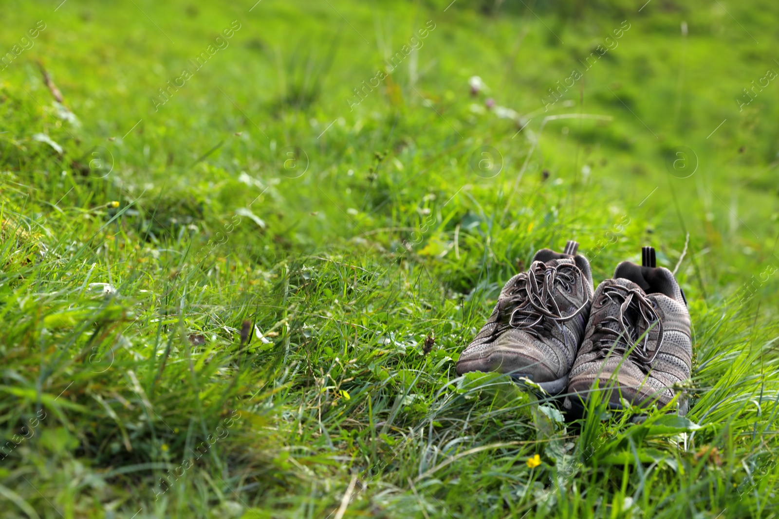 Photo of Hiking boots in green mountain valley. Summer camping