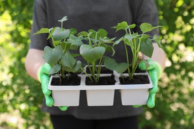 Photo of Woman in gardening gloves holding plastic container with seedlings outdoors, closeup