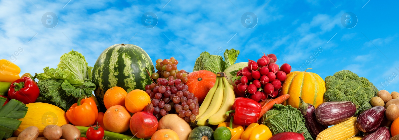 Image of Assortment of fresh organic fruits and vegetables outdoors. Banner design