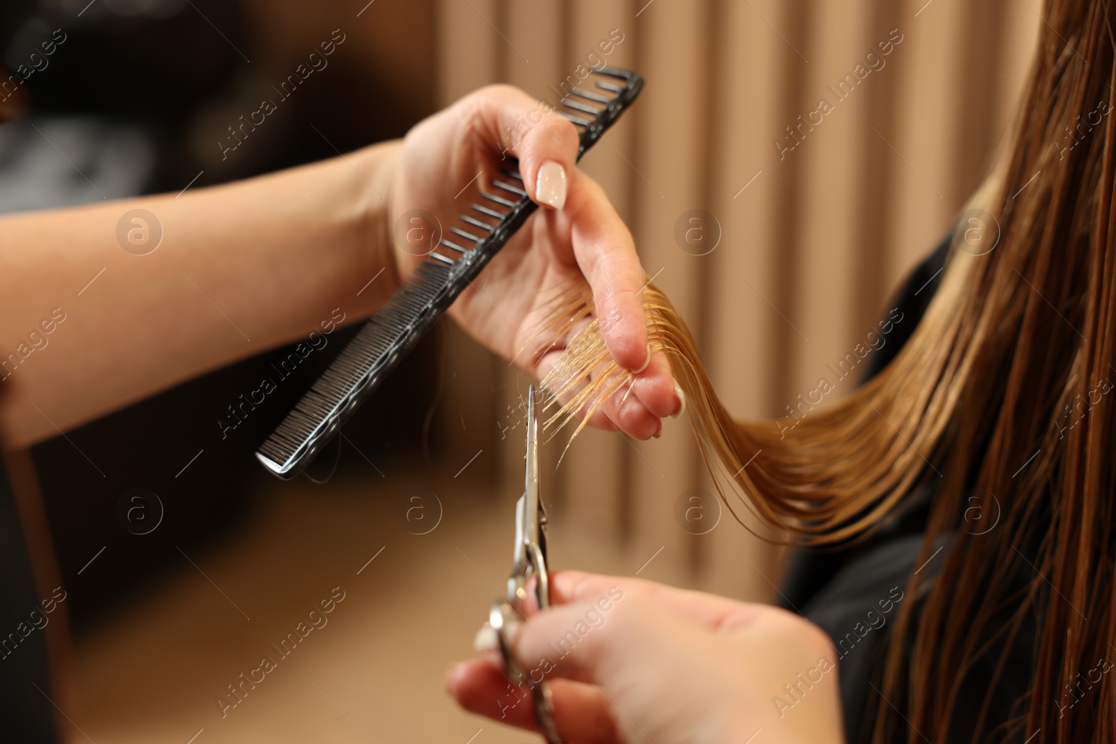 Photo of Professional hairdresser cutting girl's hair in beauty salon, closeup