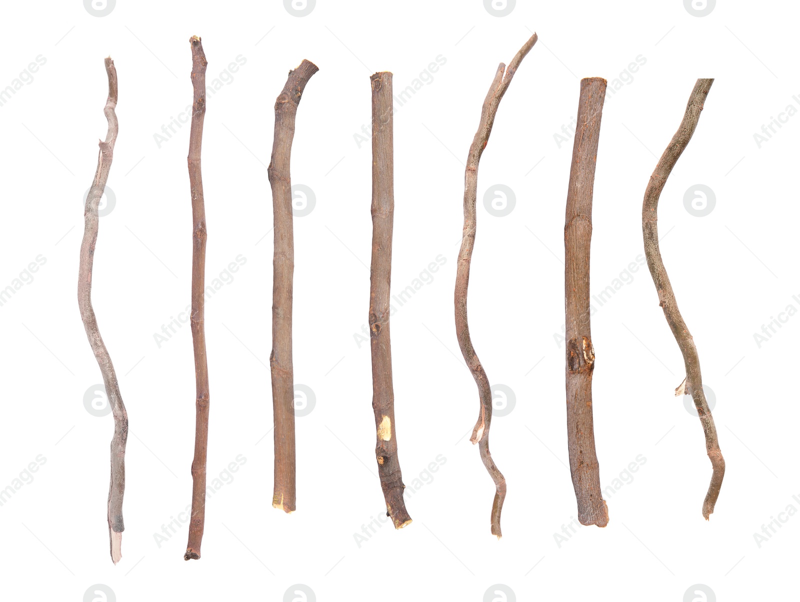 Image of Collage with dry tree twigs on white background, top view