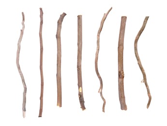 Collage with dry tree twigs on white background, top view