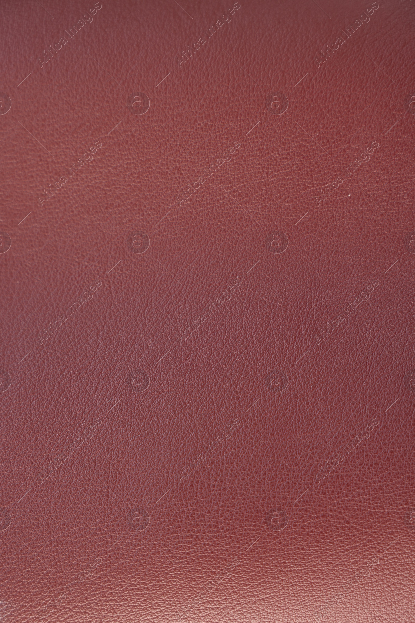 Photo of Texture of leather as background, closeup view