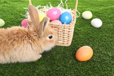 Photo of Adorable furry Easter bunny near wicker basket and dyed eggs on green grass