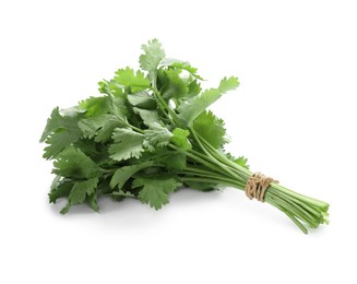 Bunch of fresh green organic cilantro isolated on white