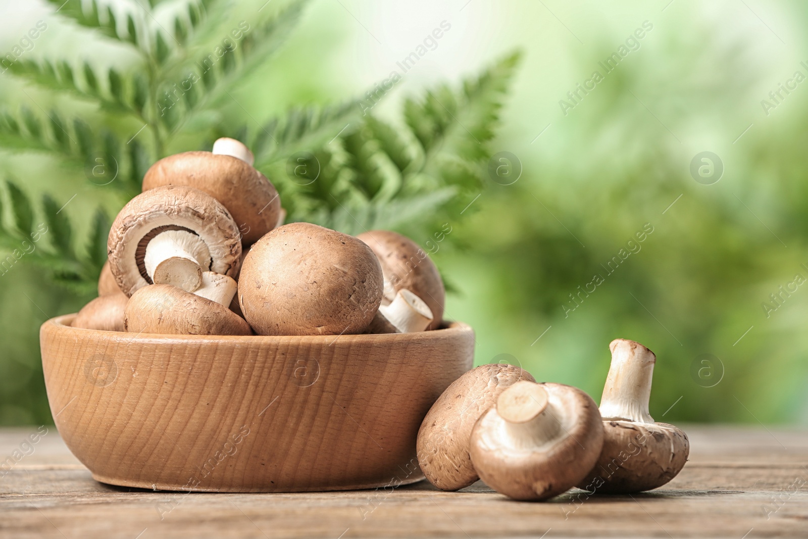 Photo of Fresh champignon mushrooms and bowl on wooden table