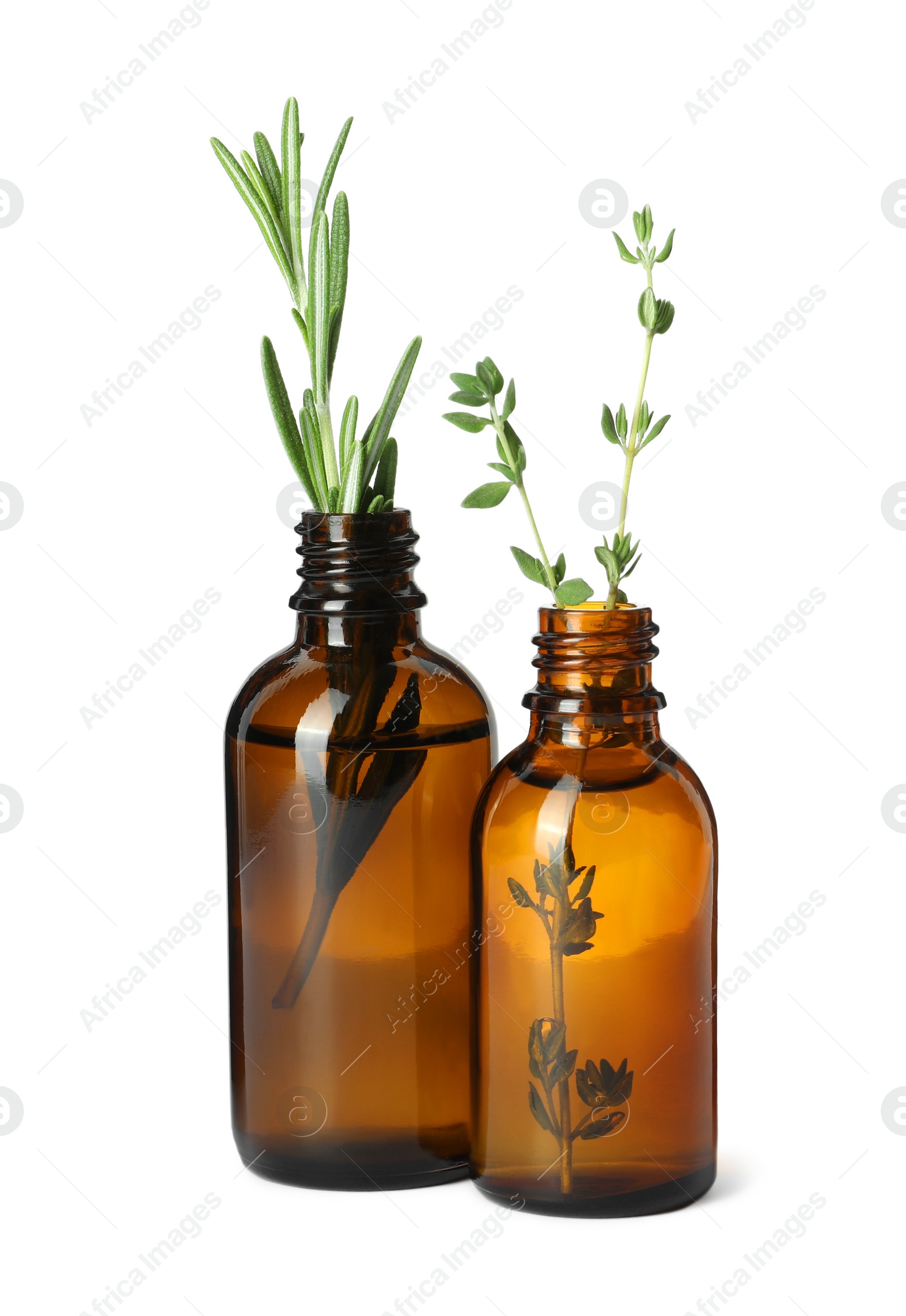 Photo of Bottle of essential oil with rosemary and thyme isolated on white