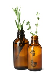 Bottle of essential oil with rosemary and thyme isolated on white
