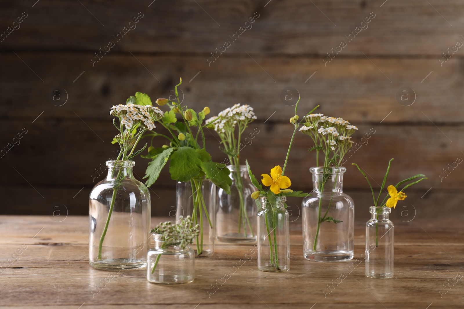 Photo of Yarrows and celandine flowers in glass bottles on wooden table