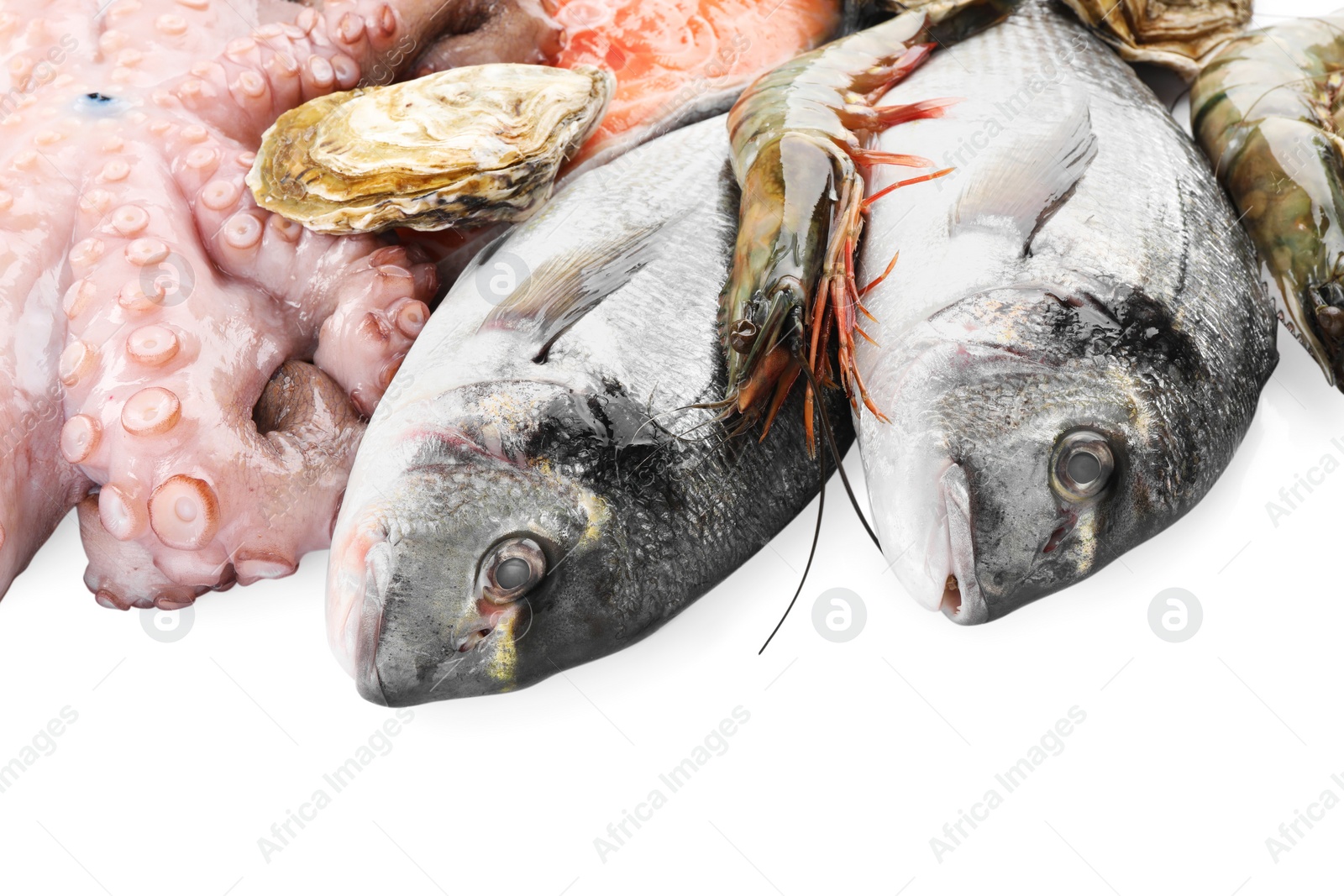 Photo of Fresh dorado fish, octopus, oyster and shrimps on white background, closeup