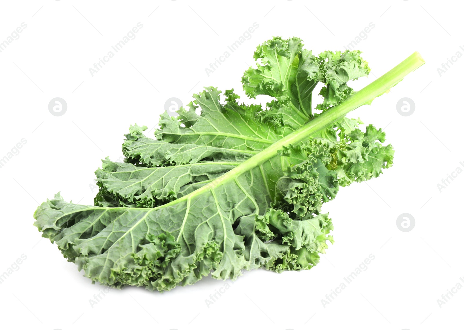 Photo of Fresh green kale leaf isolated on white