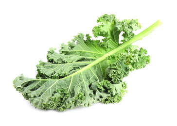 Fresh green kale leaf isolated on white