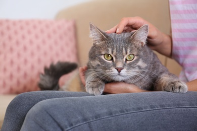 Photo of Young woman and cute gray tabby cat on couch indoors, closeup. Lovely pet