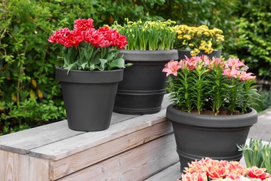 Photo of Many different potted flowers on wooden stand outdoors