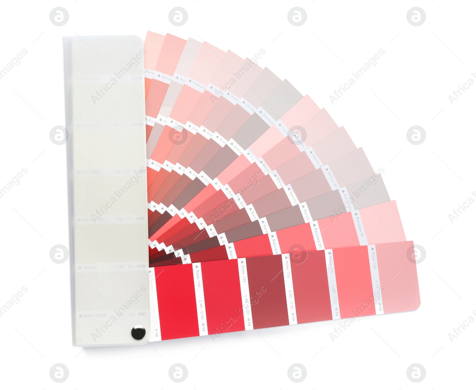 Photo of Color palette samples on white background