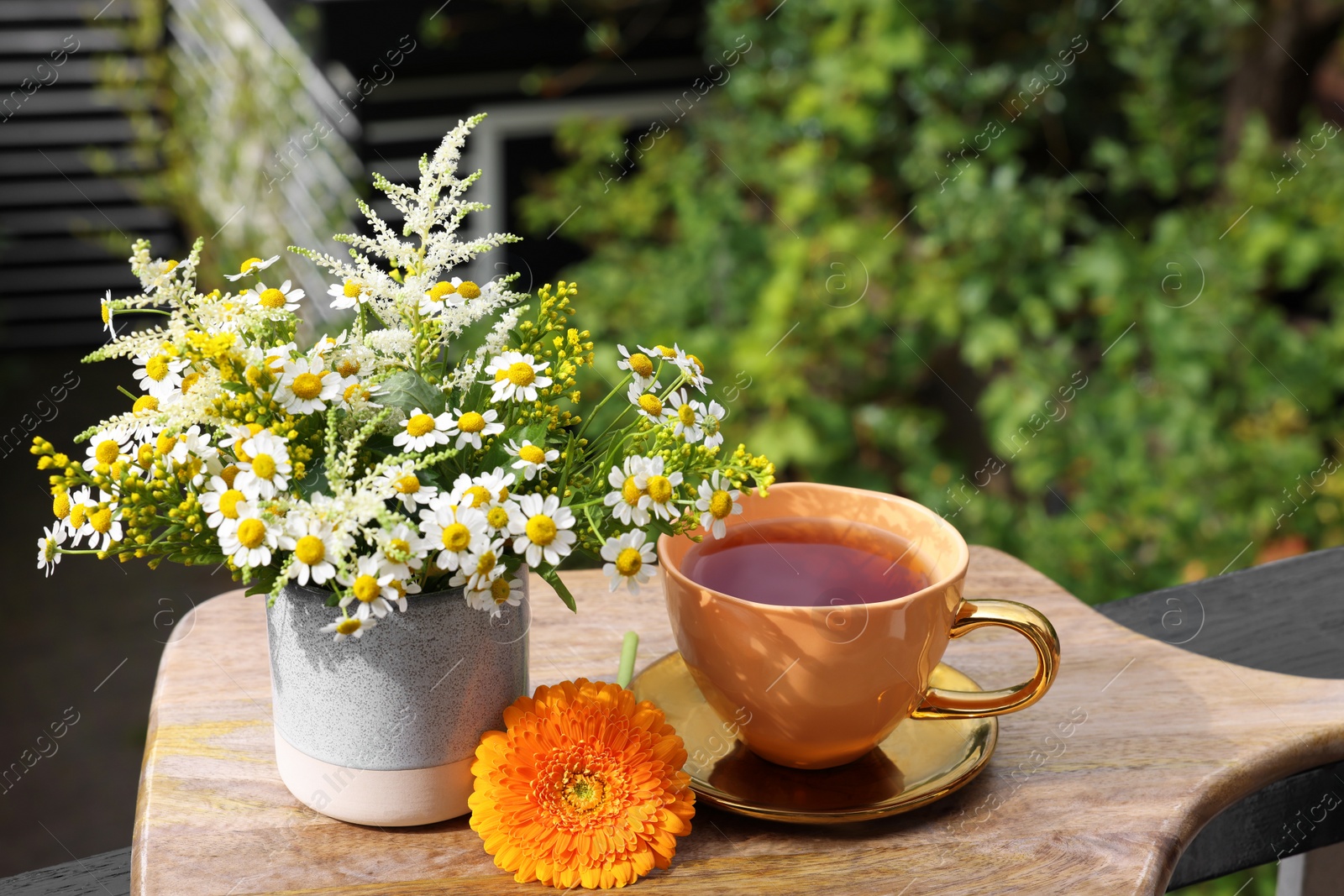 Photo of Cup of delicious chamomile tea and fresh flowers outdoors on sunny day