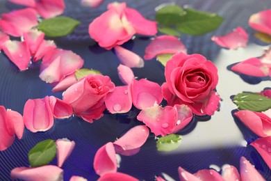 Photo of Pink roses and petals in water, closeup