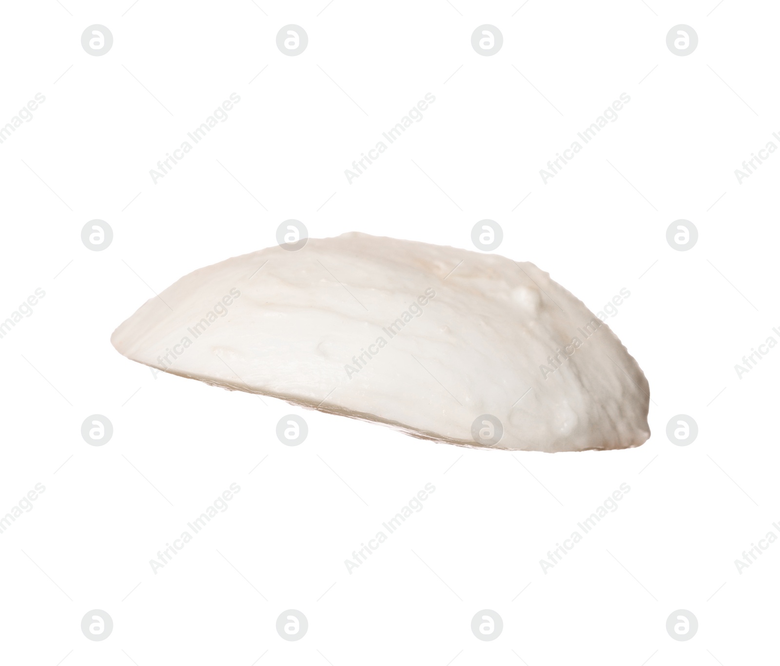 Photo of Slice of mozzarella cheese isolated on white