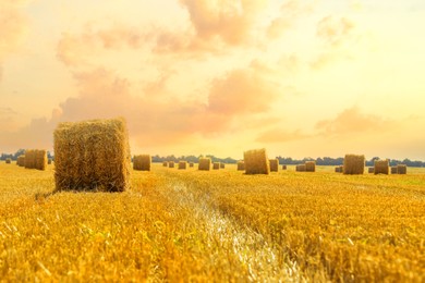 Hay bales in golden field under beautiful sky at sunset