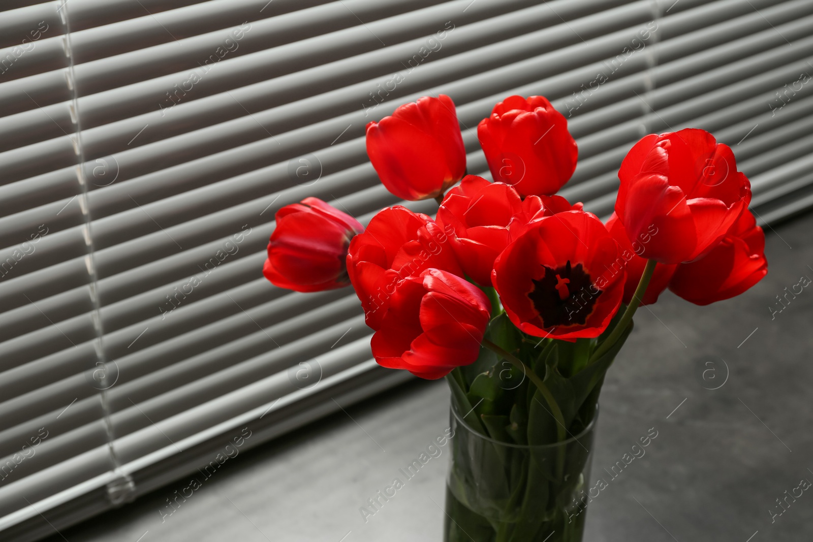 Photo of Bouquet of beautiful tulips in vase near window with blinds