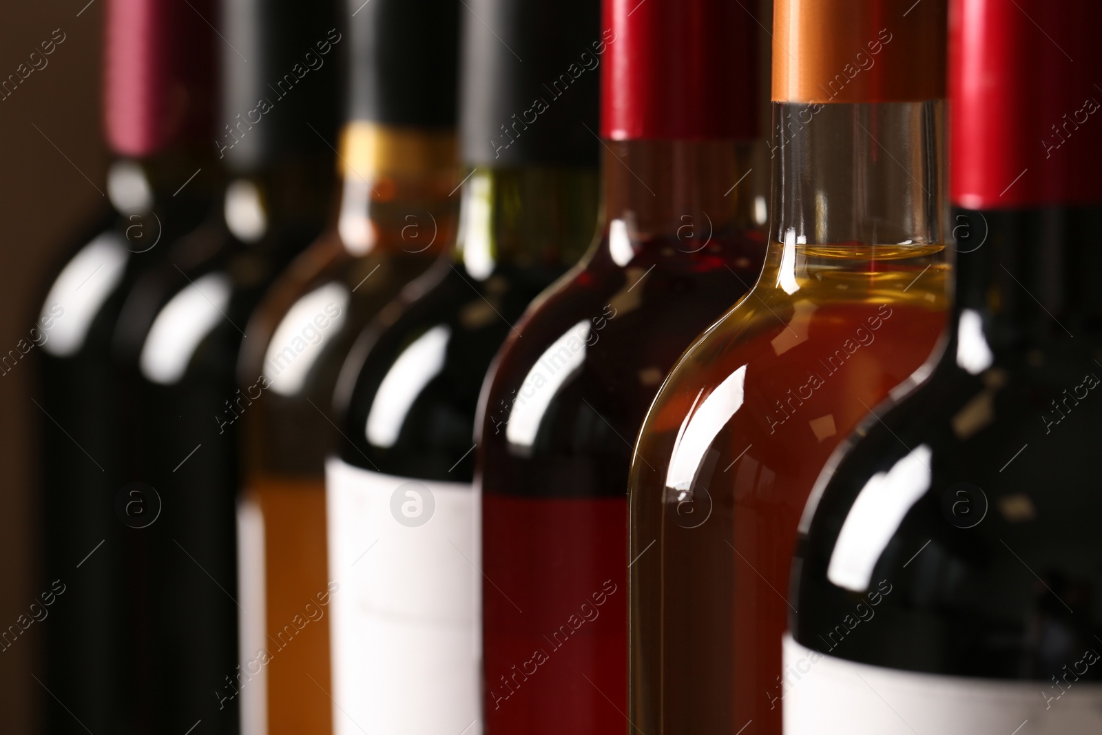 Photo of Bottles of different wines, closeup. Expensive collection