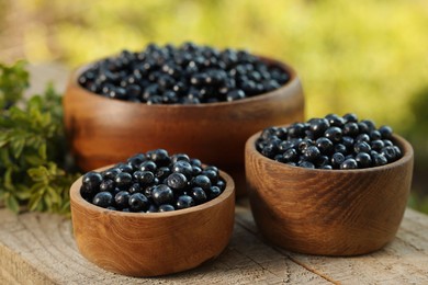 Bowls of delicious bilberries on wooden table outdoors, closeup