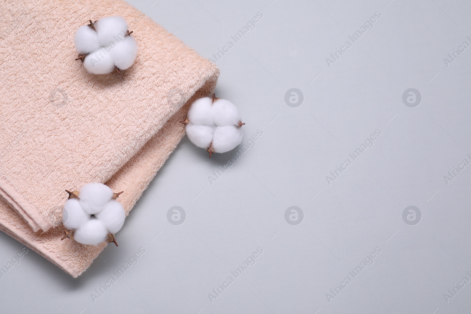 Photo of Fluffy cotton flowers and beige terry towel on light gray background, top view. Space for text