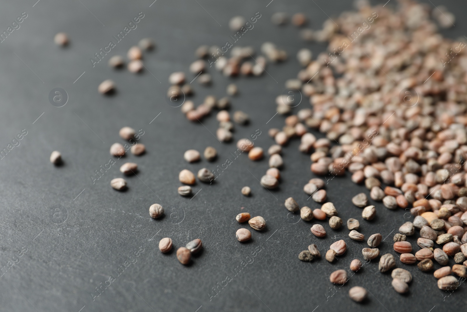 Photo of Raw radish seeds on grey background, closeup. Vegetable planting