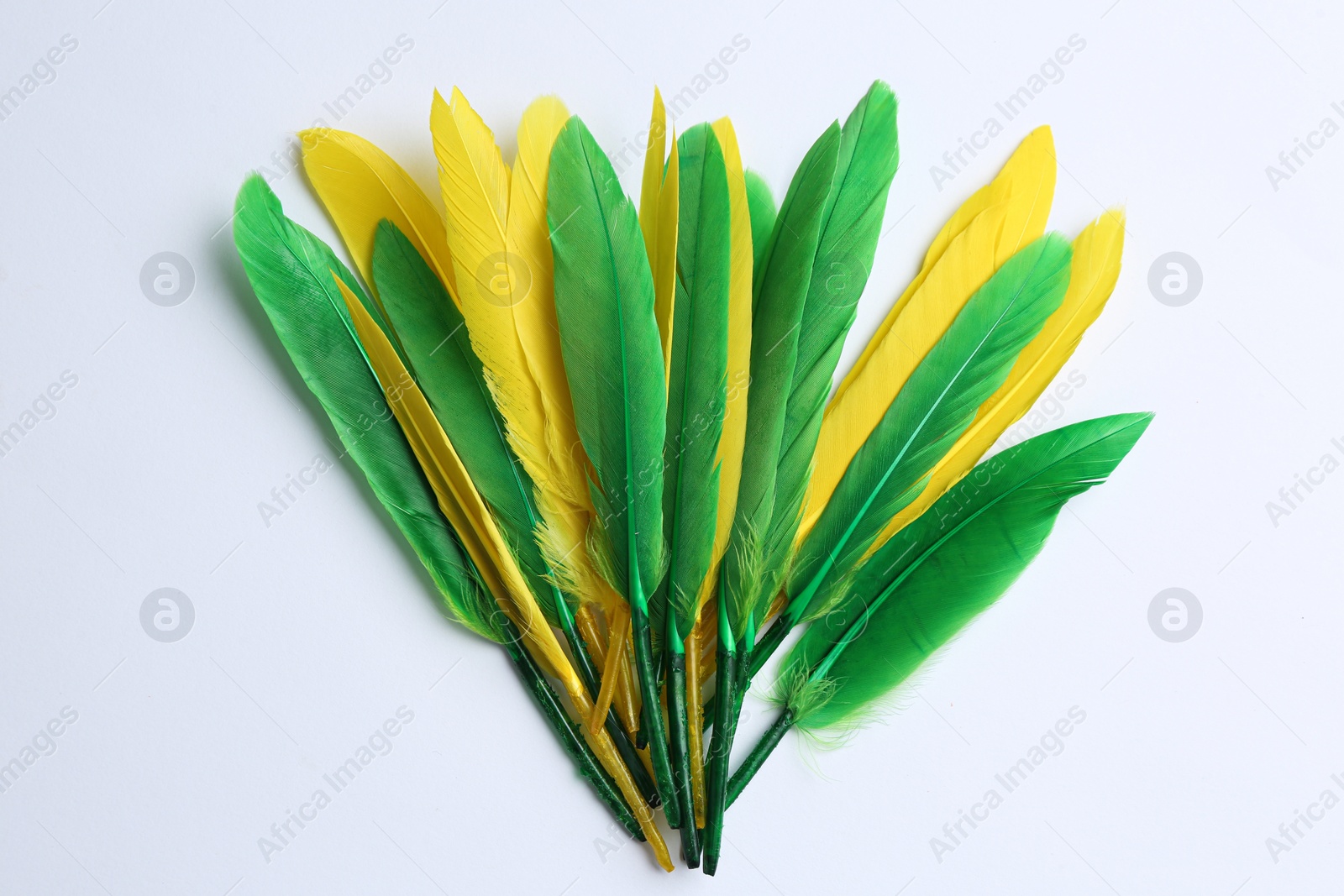 Photo of Bright feathers on white background, flat lay