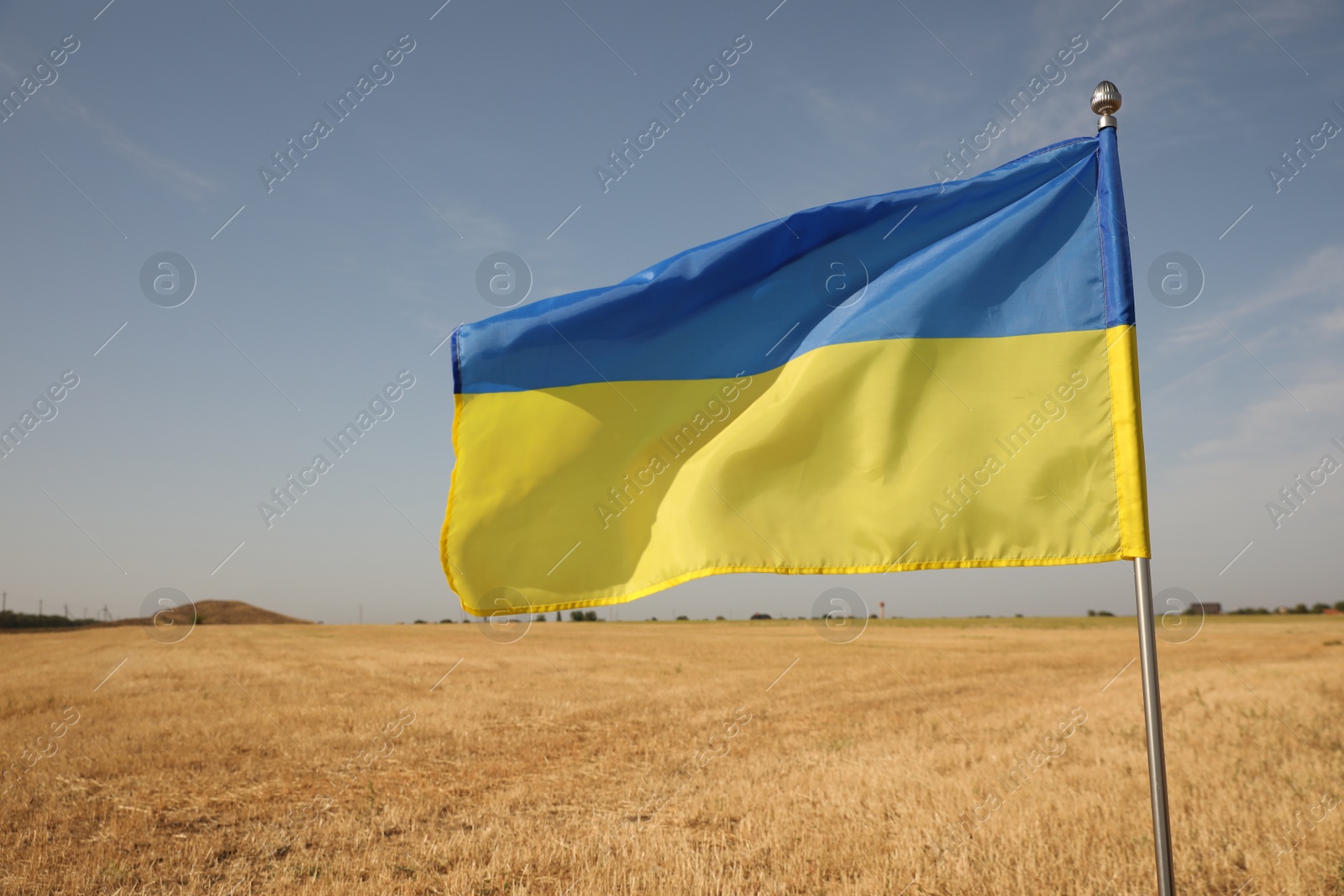 Photo of National flag of Ukraine in wheat field against blue sky, closeup