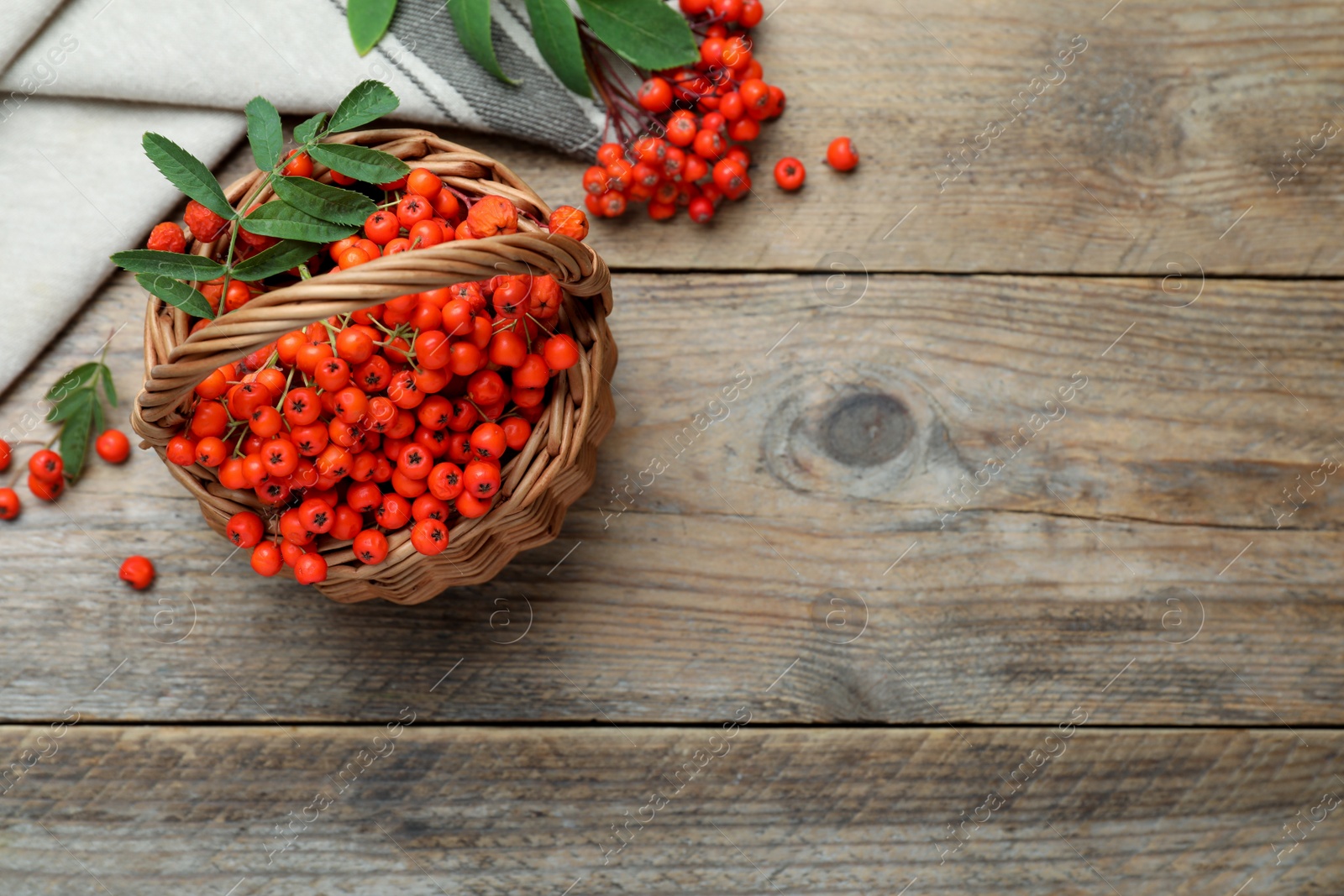 Photo of Fresh ripe rowan berries with green leaves on wooden table, flat lay. Space for text