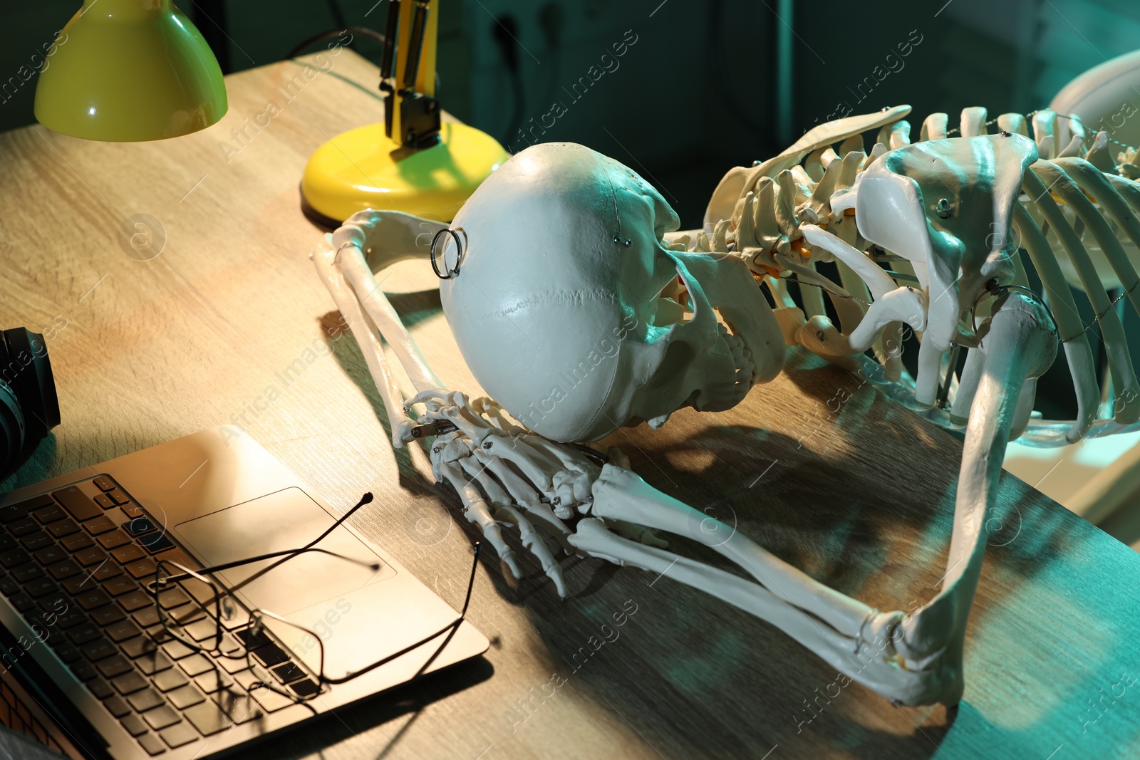 Photo of Waiting concept. Human skeleton sleeping at wooden table with laptop