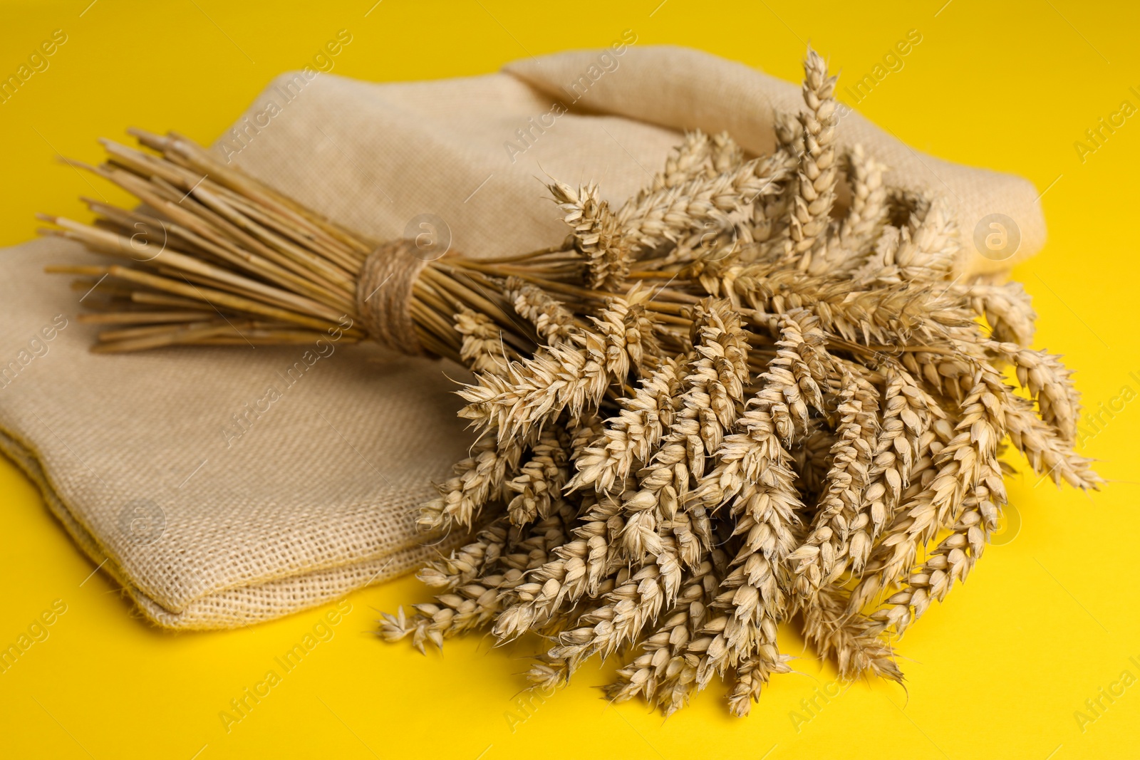 Photo of Bunch of wheat and sack bag on yellow background, closeup