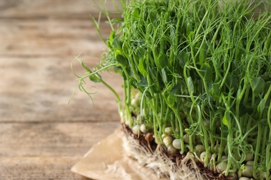 Fresh organic microgreen on wooden table, closeup. Space for text