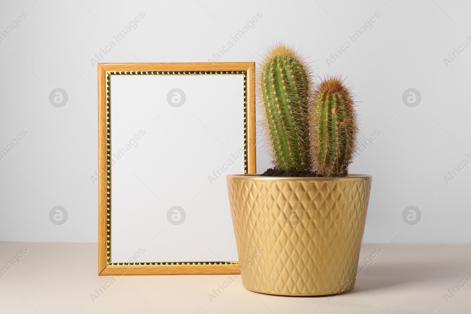 Photo of Beautiful cactus in pot and frame on beige table