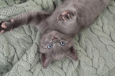 Cute fluffy kitten on blanket, top view. Baby animal