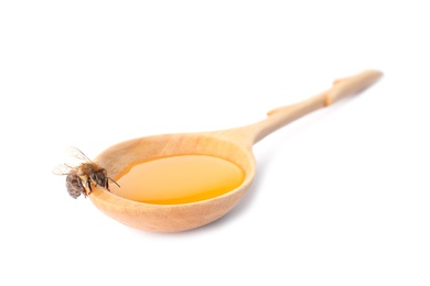 Photo of Wooden spoon with honey and bee on white background