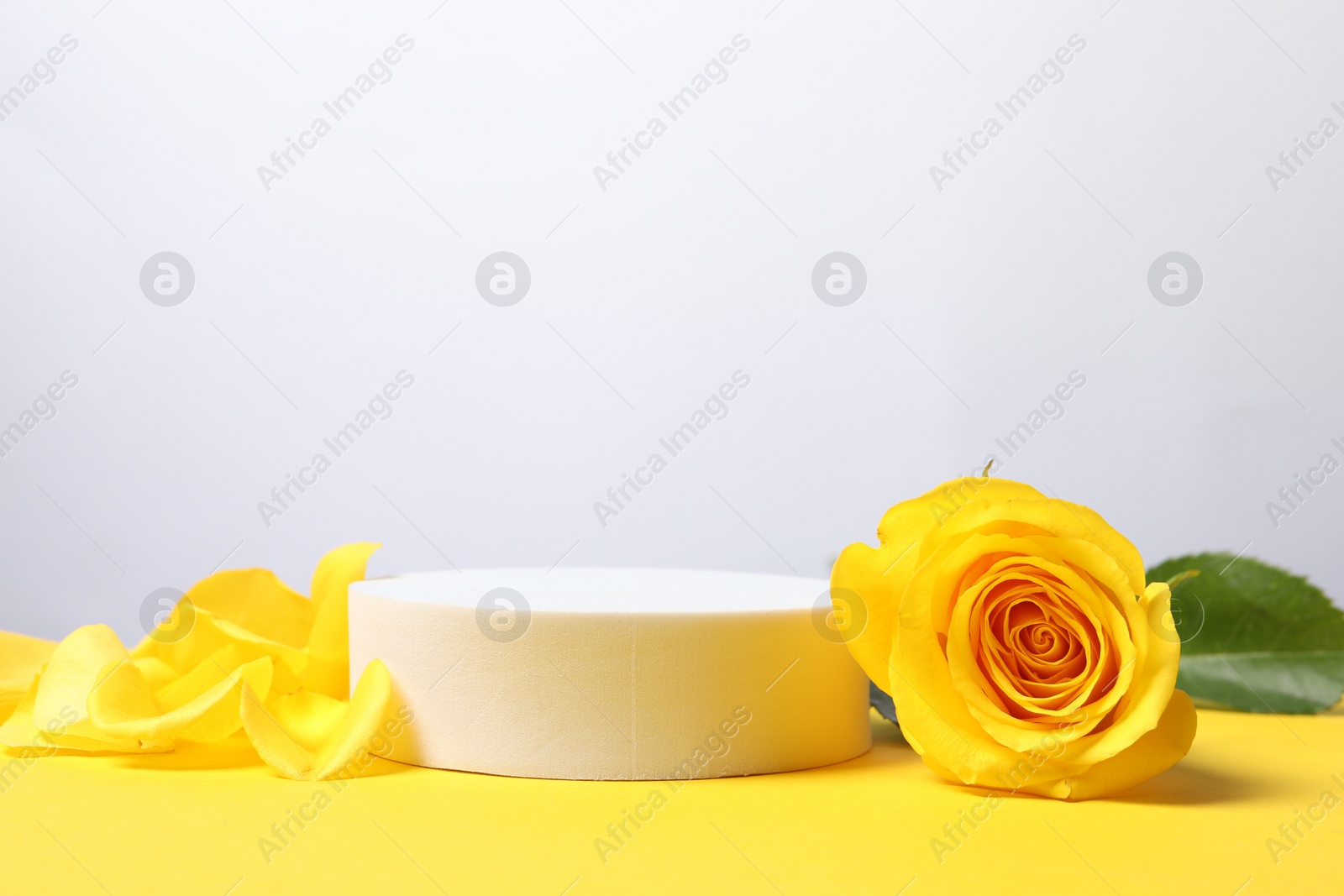 Photo of Beautiful presentation for product. Round podium and rose on yellow table against white background, space for text