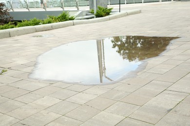 Photo of Puddle of rain water on paved pathway outdoors