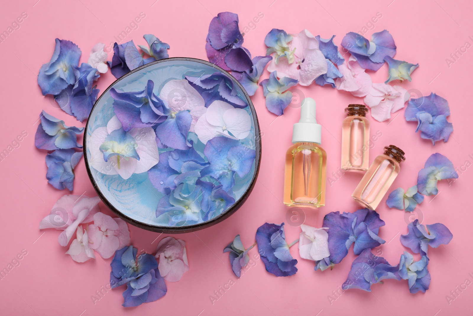 Photo of Spa composition. Aromatic water in bowl, flowers and bottles of essential oil on pink background, flat lay