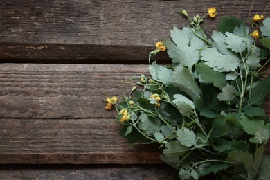 Photo of Bunch of beautiful celandine on wooden table, top view. Space for text