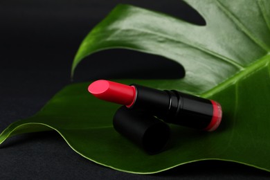 Photo of Beautiful pink lipstick and green leaf on black background